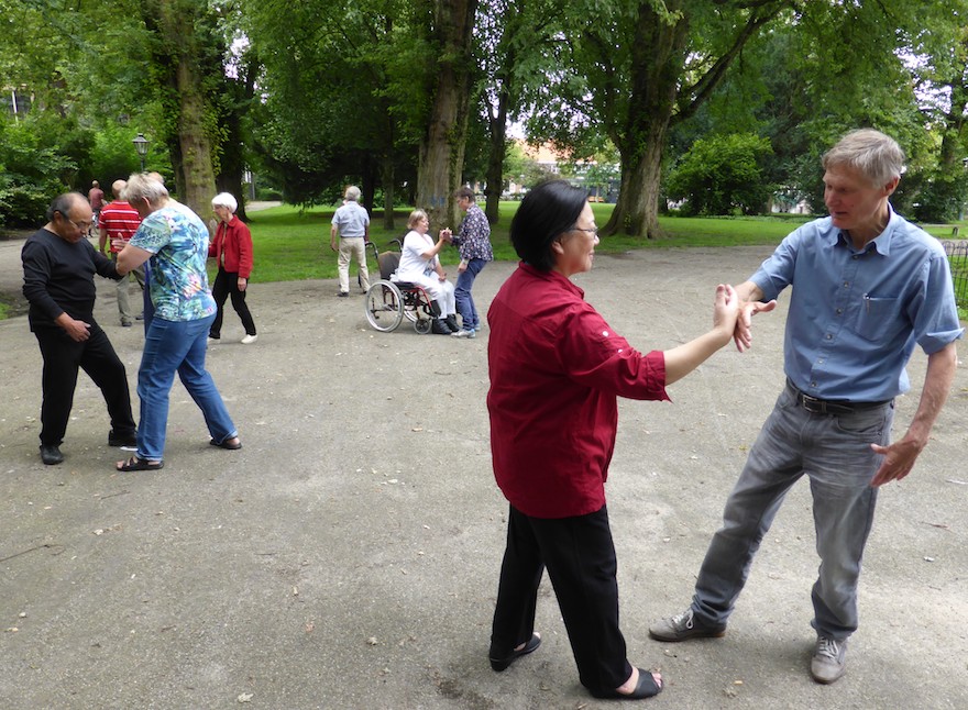 zomer taiji in het Van der Werfpark Leiden 5